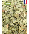 Cassis BIO, ribes nigrum, tisane cassis - feuille coupée, plantes en vrac - Herboristerie & Phytothérapie