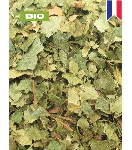 Bouleau BIO, betula pendula roth, tisane de bouleau - Feuille coupée, plantes en vrac - Herboristerie & Phytothérapie