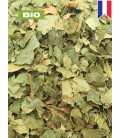 Bouleau BIO, betula pendula roth, tisane de bouleau - Feuille coupée, plantes en vrac - Herboristerie & Phytothérapie
