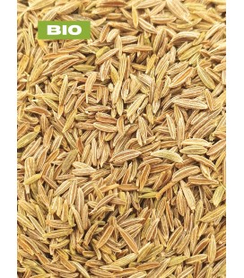 Cumin BIO, cuminum cyminum, tisane de cumin  - graine entière, plantes en vrac - Herboristerie & Phytothérapie