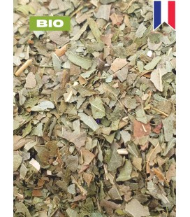 Frêne BIO, fraxinus excelsior, tisane de frêne - feuille coupée, plantes en vrac - Herboristerie & Phytothérapie