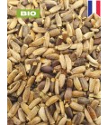 Chardon-marie BIO, silybum marianum, tisane chardon marie -graine entière, plantes en vrac - Herboristerie & Phytothérapie