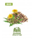 Pissenlit diurétique naturel BIO - Guide phytothérapie
