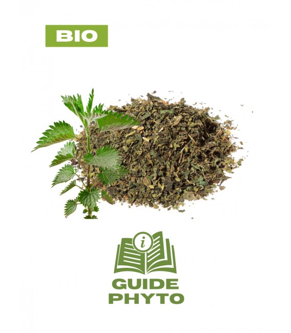 Ortie BIO - Diurétique naturel - Guide phytothérapie