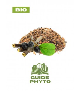 Bourdaine laxatif naturel BIO - Guide phytothérapie