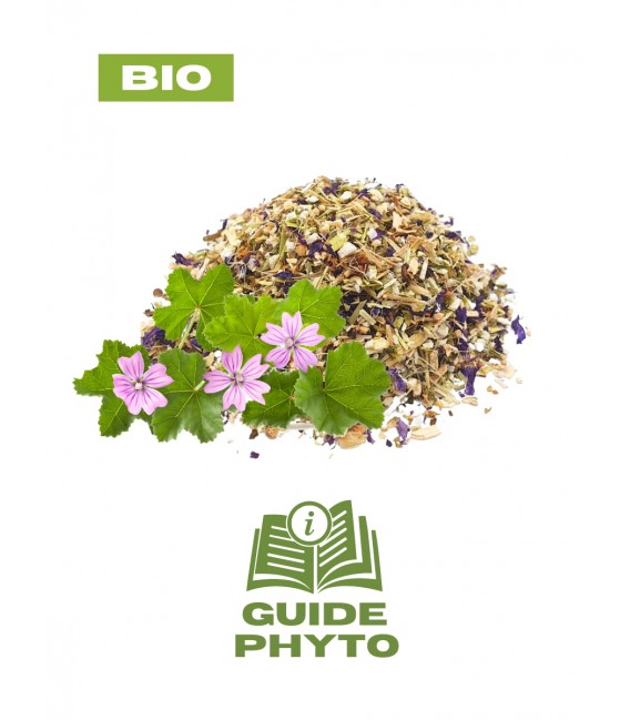 Mauve remède constipation naturel BIO - Guide phytothérapie