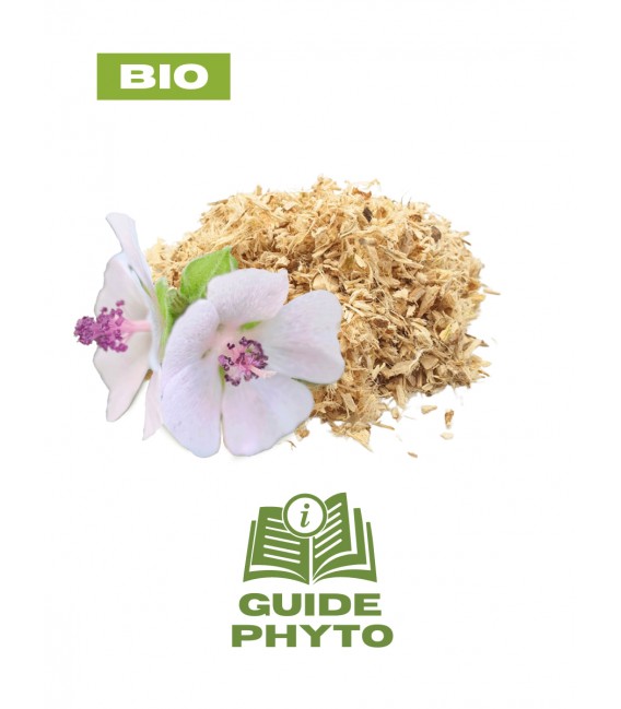 Guimauve pour tisane constipation BIO - Guide phytothérapie