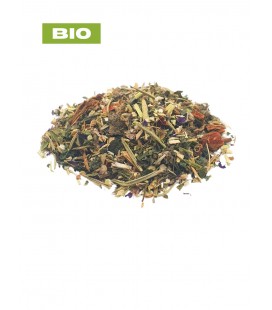 Tisane transit N°2 BIO constipation et gaz, plantes en vrac