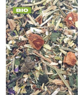 Tisane transit N°2 BIO constipation et gaz, plantes en vrac