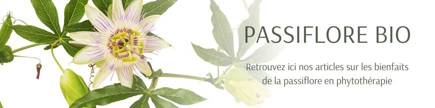 Passiflore bienfaits - passiflora edulis sims