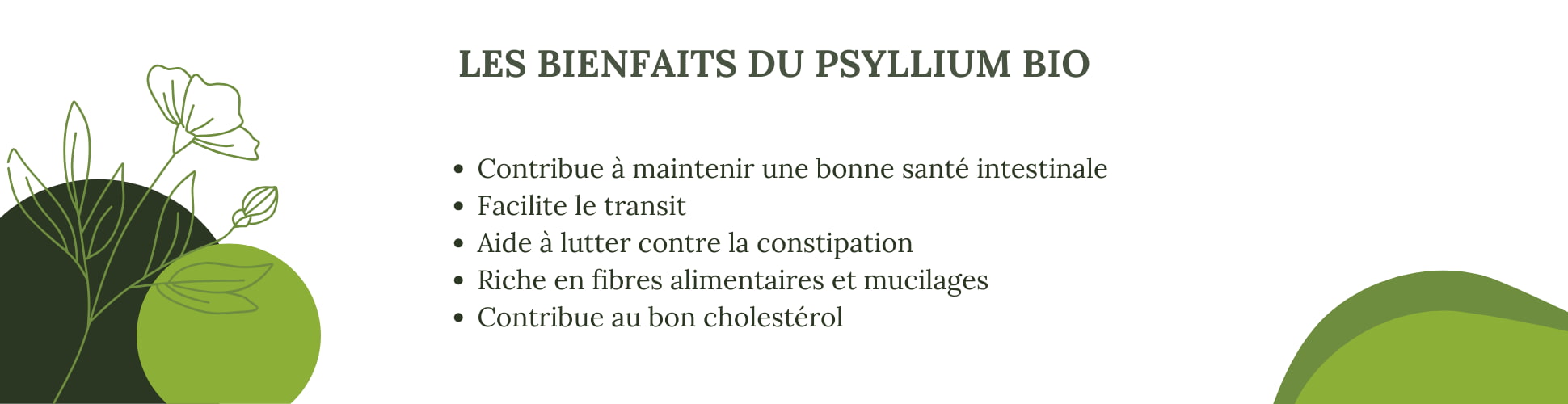 Les bienfaits du psyllium BIO