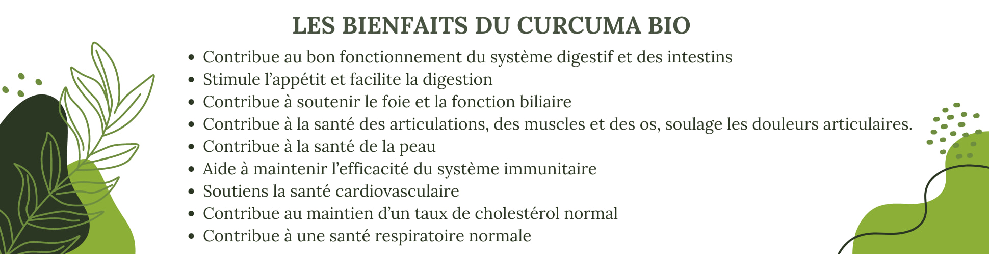 Les bienfaits du curcuma BIO