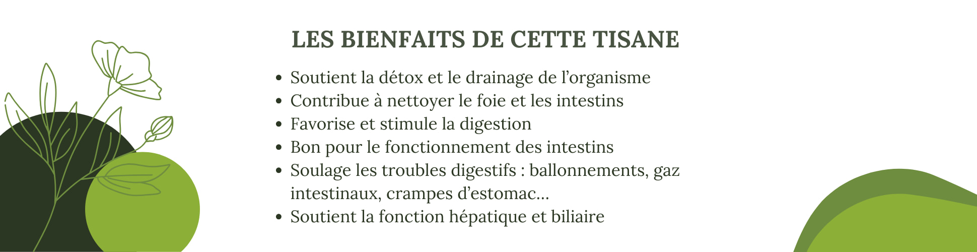 Les bienfaits de la cure détox N°3 après fêtes