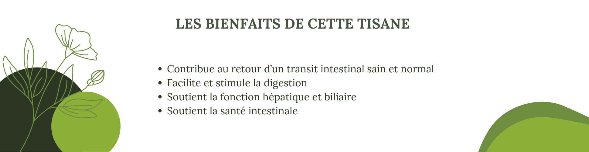 Bienfaits de la tisane transit N°3 BIO constipation et foie