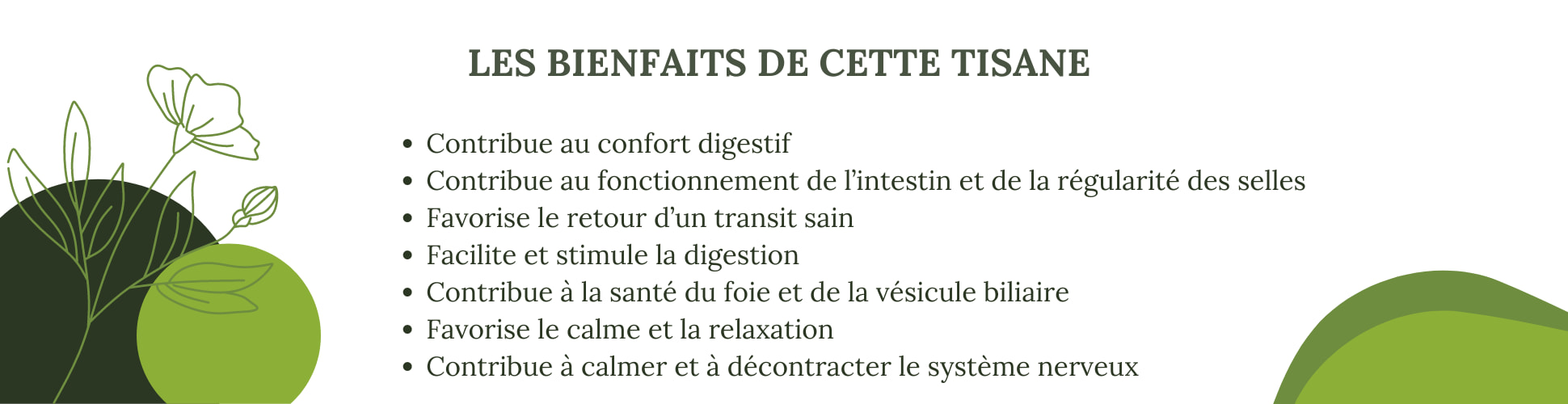 LEs bienfaits de la tisane transit N°4 constipation et stress