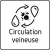 Circulation veineuse